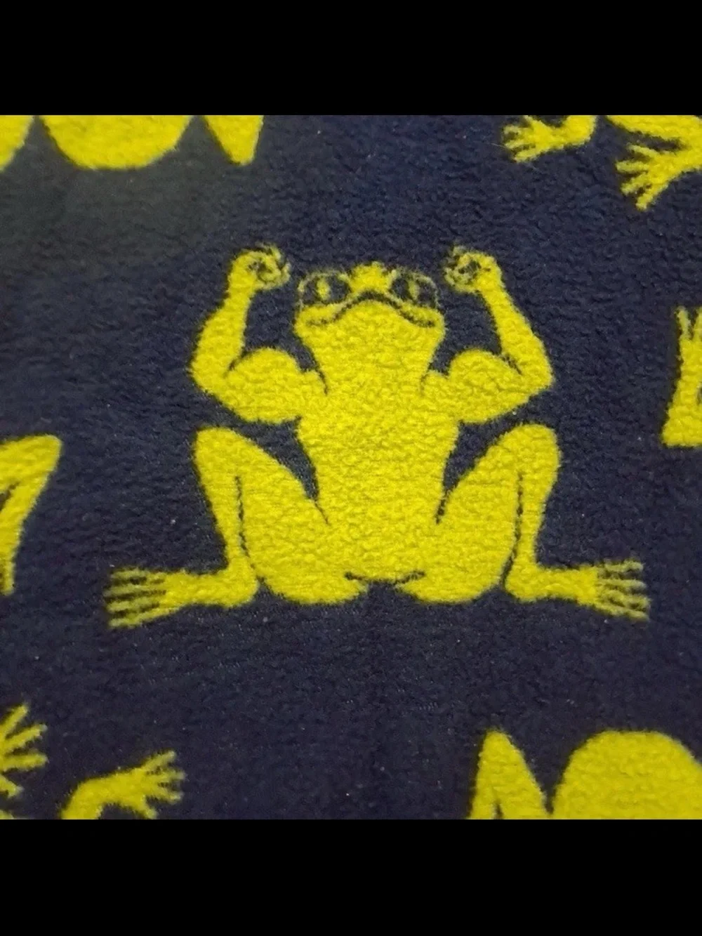 Vintage Biederlack Frogs Blanket Blue Green Throw Reversible Acrylic Germany